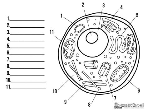 Cell Label 的图像结果