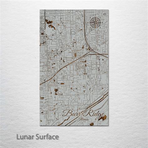 Burr Ridge, Illinois Street Map