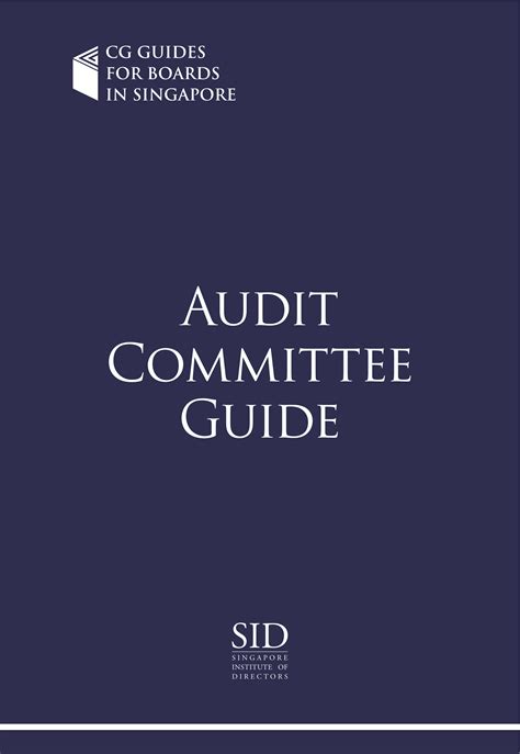 Audit Guide 的图像结果