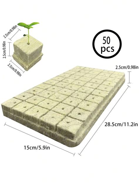 25/50 Pieces Leafy Vegetables Fruits Flowers Trees Nursery Cultivation ...