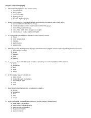 Cinematography Assignment 2 的图像结果