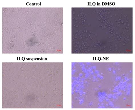 Bioengineering | Special Issue : Early Career Scientists' (ECS ...