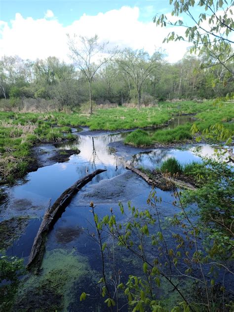 Walking Iron County Park - 6064 Beckman Rd, Mazomanie, WI 53560