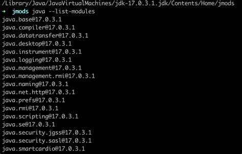 Java JDK 17 Tutorial 的图像结果