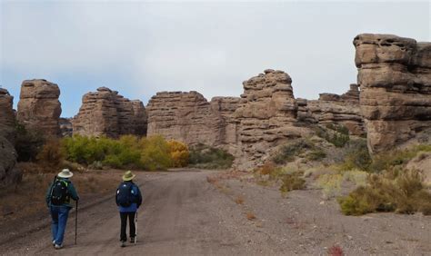 San Lorenzo Canyon - dogofthedesert