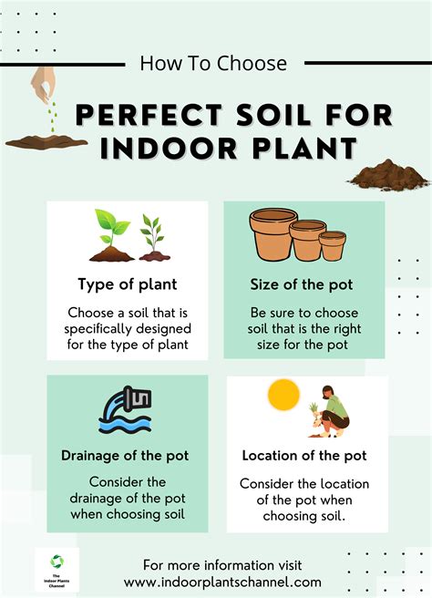 What S The Best Indoor Plant Soil at Patrick Lakes blog