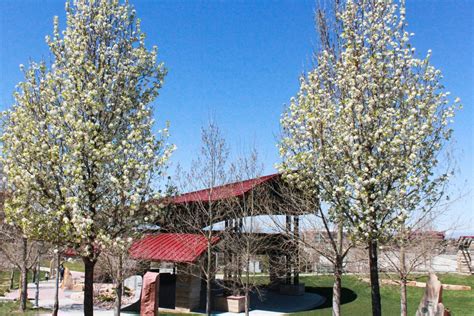 Centennial Center Park – Centennial, CO - Uncover Colorado