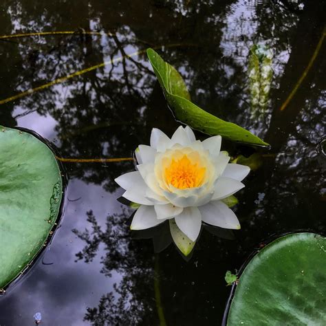 Leonard J. Buck Garden, NJ, USA: Ferienwohnungen, Ferienhäuser und mehr ...