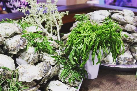 Sunset Luxury Boat Party with Floating Bar Trip from Koh Samui - Klook ...