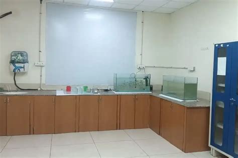 Zebra- Fish Lab - CT University