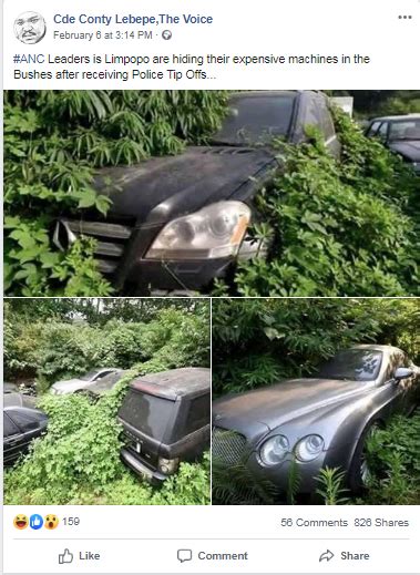 Did South African Leaders Hide Their Luxury Cars In Bushes? | BOOM