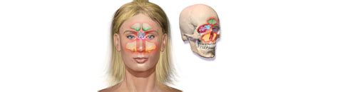 The Complete Guide To Fennel | Birla Ayurveda