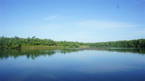 HOTEL PAPARISA AMUNGSA (Timika) - Hotel Reviews & Photos - Tripadvisor