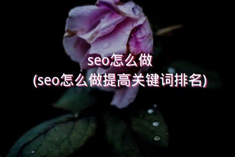 seo怎么做(seo怎么做提高关键词排名) - 洋葱SEO