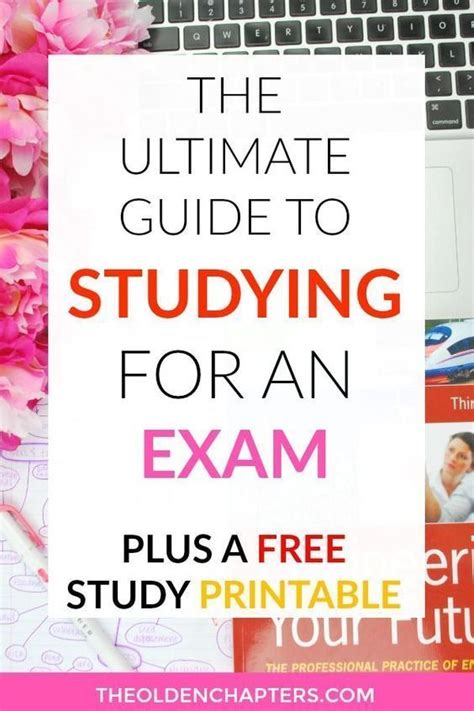 Image result for Exam Study Guide