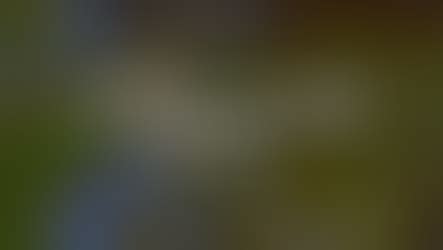 Image result for OSRS Tips & Tricks