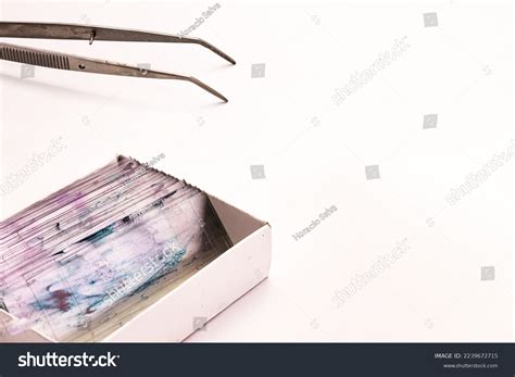 Image result for Tissue Sample Drawing Under Microscope