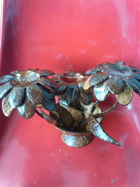 Image result for Coconut Shell Design