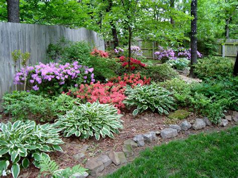 Shade Plants For Flower Beds