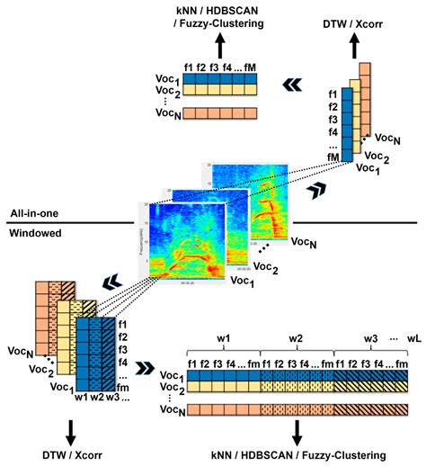 Introducing the Software CASE (Cluster and Analyze Sound Events) by ...