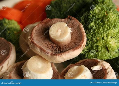 Are Mushrooms Veg
