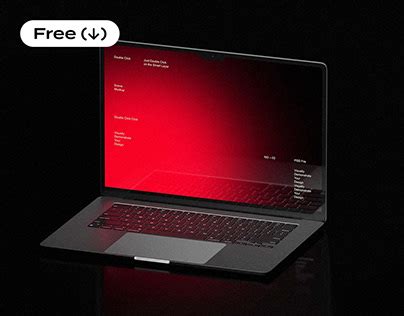 MacBook 的图像结果