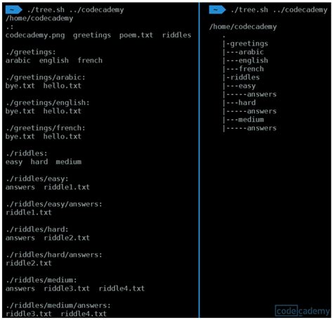 Image result for Bash Shell Scripting