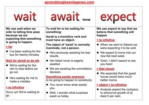 WAIT vs AWAIT VS EXPECT | English vocabulary words learning, Learn ...