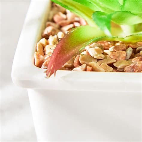 Buy Fiesta Garden Artificial Plant in Ceramic Pot from Home Centre at ...