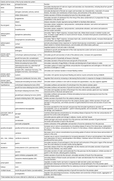 Image result for Endocrine System Table