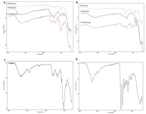 Chitosan–Collagen Coated Magnetic Nanoparticles for Lipase ...