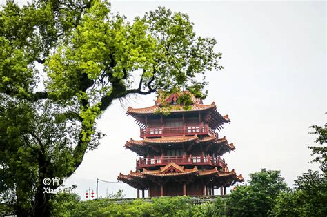 肇庆是国家历史文化名城，而它藏身与这座城市千年，它叫宋城墙_麒麟