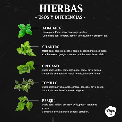 What Is Herb In Spanish at Charles Cameron blog