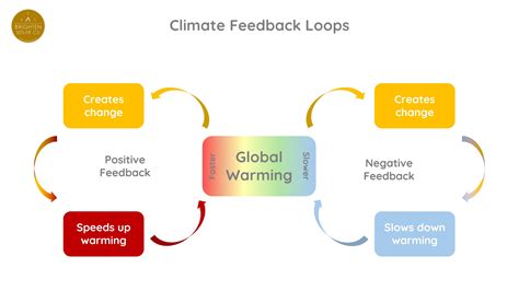 Whales, Oceans, and Climate: A Tale of Interconnectivity - Brighten Solar Co.