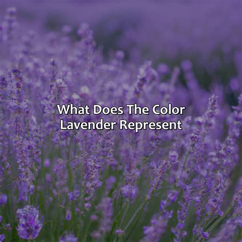 What Does The Color Lavender Represent - colorscombo.com
