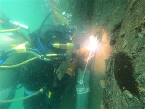 Image result for Anode Sacrificial Theory