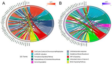 Short-Term Effects of Human versus Bovine Sialylated Milk ...