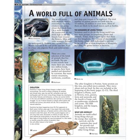 Buy Fascinating Facts - Animals – Parragon Publishing