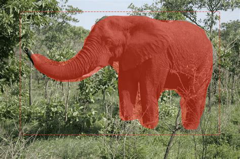 Object Detection Model with Keras 的图像结果