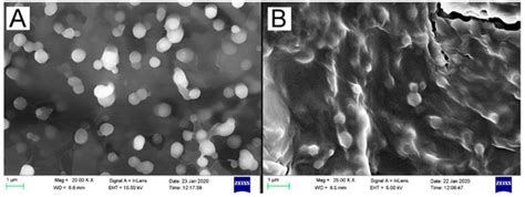 Comparative Nanofabrication of PLGA-Chitosan-PEG Systems Employing ...