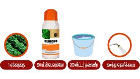 டெரெக்கோ - பின் கருகல், அடி சாம்பல் நோய்களை கட்டுப்படுத்தினால் உங்கள் ...
