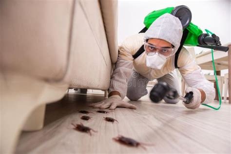 Choosing Pest Control Method 的图像结果