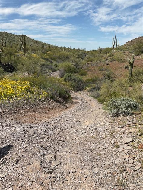 Javelina Mountain Trail, Arizona - GPS Trail Map, Conditions ...