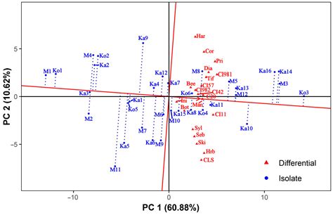 Virulence Spectra of Hungarian Pyrenophora teres f. teres Isolates ...