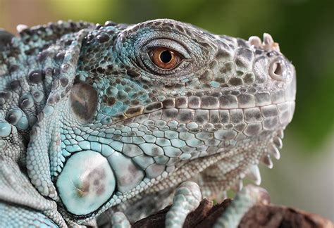 SEL70200G2 | Objectifs | Sony France