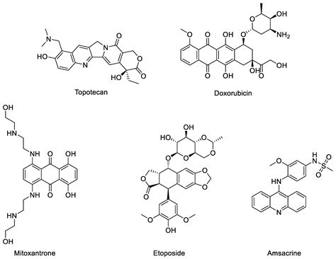 Dual Targeting Topoisomerase/G-Quadruplex Agents in Cancer Therapy—An ...
