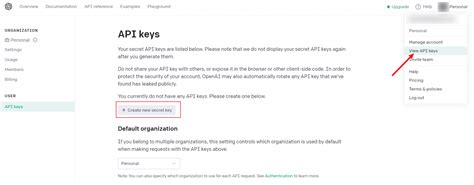 Chat Bot API Key 的图像结果