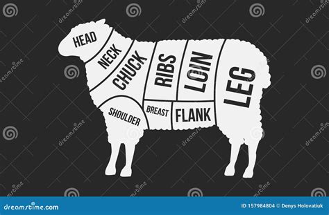 Cuts of Lamb. Meat Cuts. Sheep Silhouette Isolated on Black Background ...