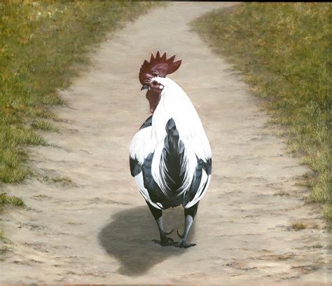 Rooster Tail — Karen's Paintings