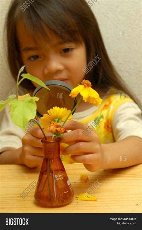 Image result for Observing Pupils